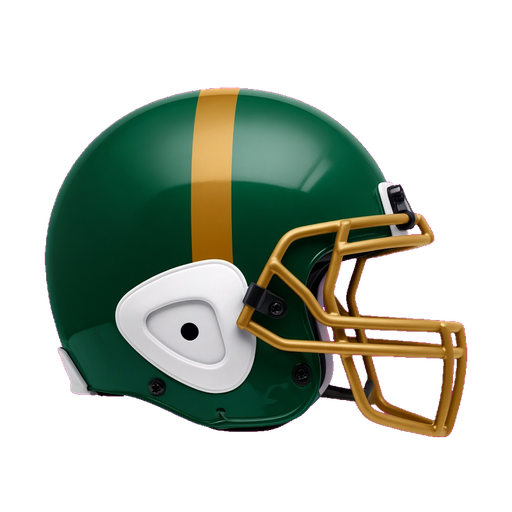 Wyoming Area helmet